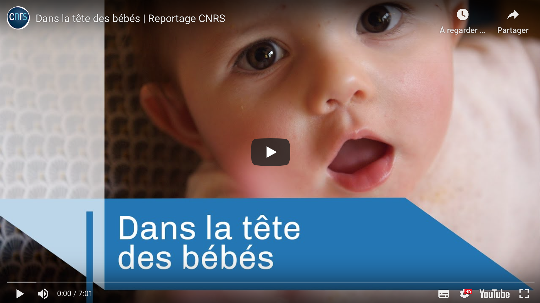 Actualités Dans la tête des bébés  Reportage sur le Babylab